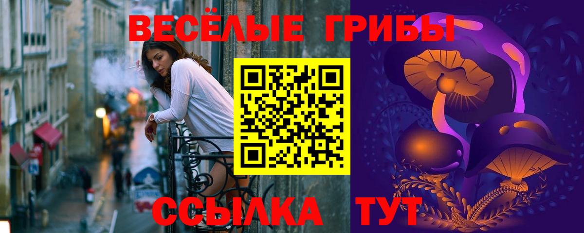 Реутов  Псилоцибиновые грибы Magic Shrooms  Вход с VPN  Псилоцибиновые грибы GOLDEN TEACHER 